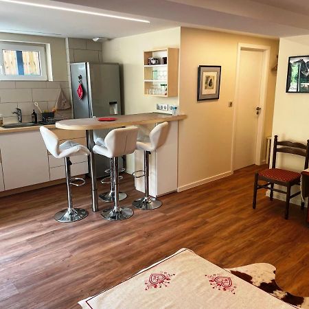 appartement 2 pièces 45m2 Rez-de-jardin-terrasse Strasburgo Esterno foto