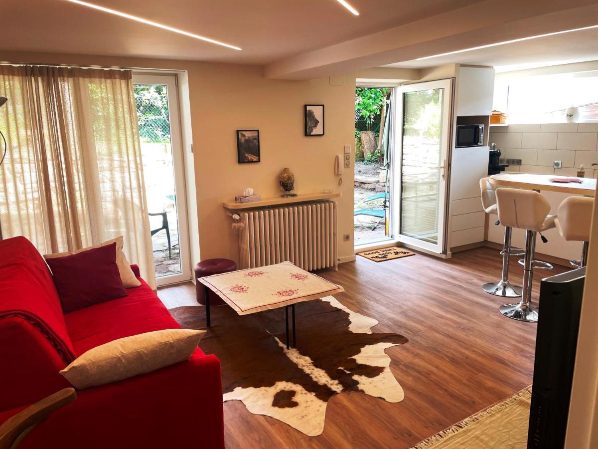 appartement 2 pièces 45m2 Rez-de-jardin-terrasse Strasburgo Esterno foto