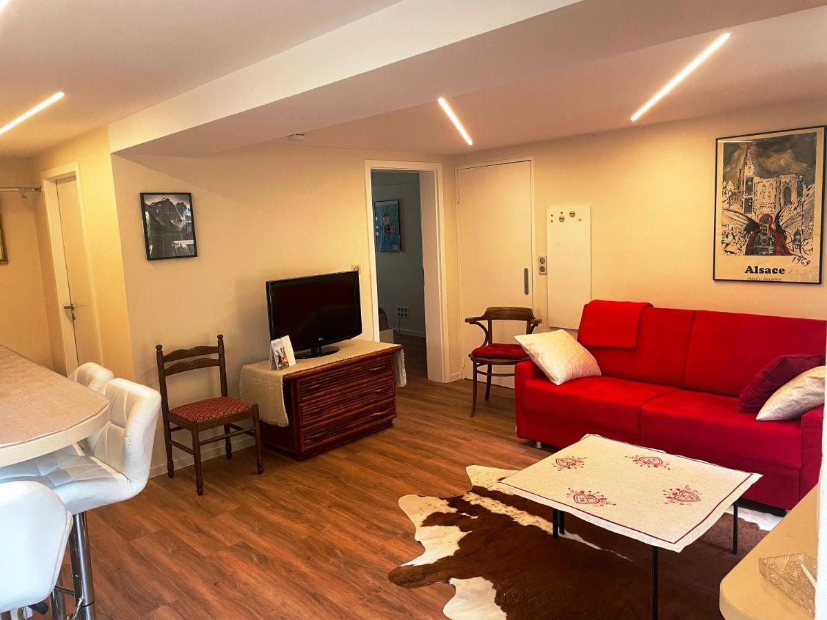 appartement 2 pièces 45m2 Rez-de-jardin-terrasse Strasburgo Esterno foto